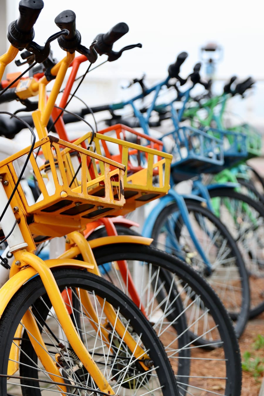 Distintos tipos de bicicleta de alquiler
